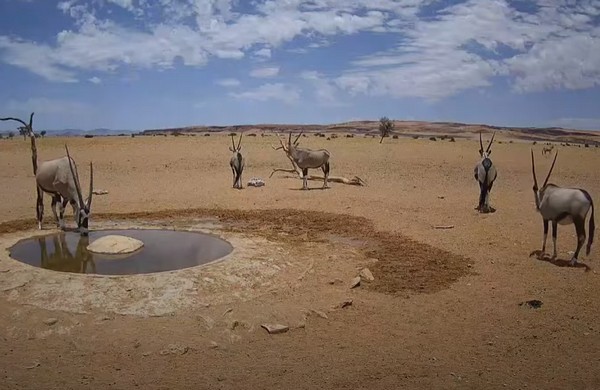 Пустыня в Намибии